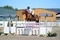 Kelsall Hill Junior Qualifiers – this weekend!